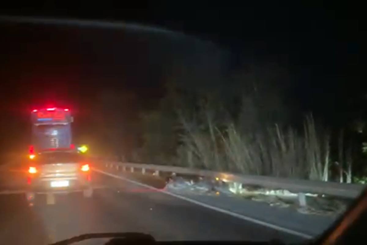 Colisão entre motociclista e cavalo resulta em morte na BR-020