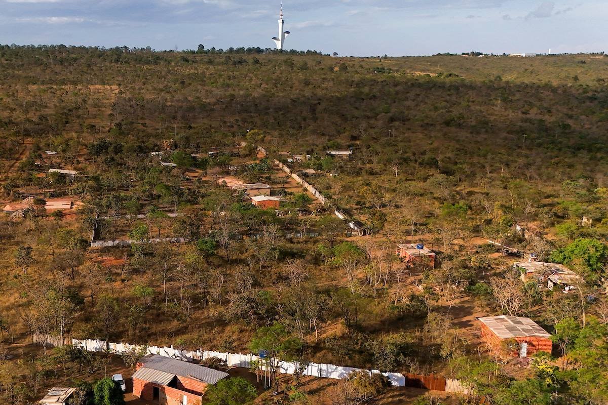 Avanço da grilagem ameaça nascentes em área de proteção no DF