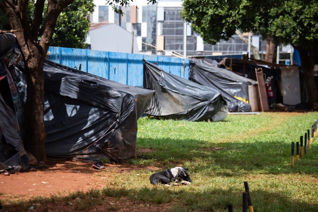 TCDF exige esclarecimentos sobre acolhimento de pessoas em situação de rua