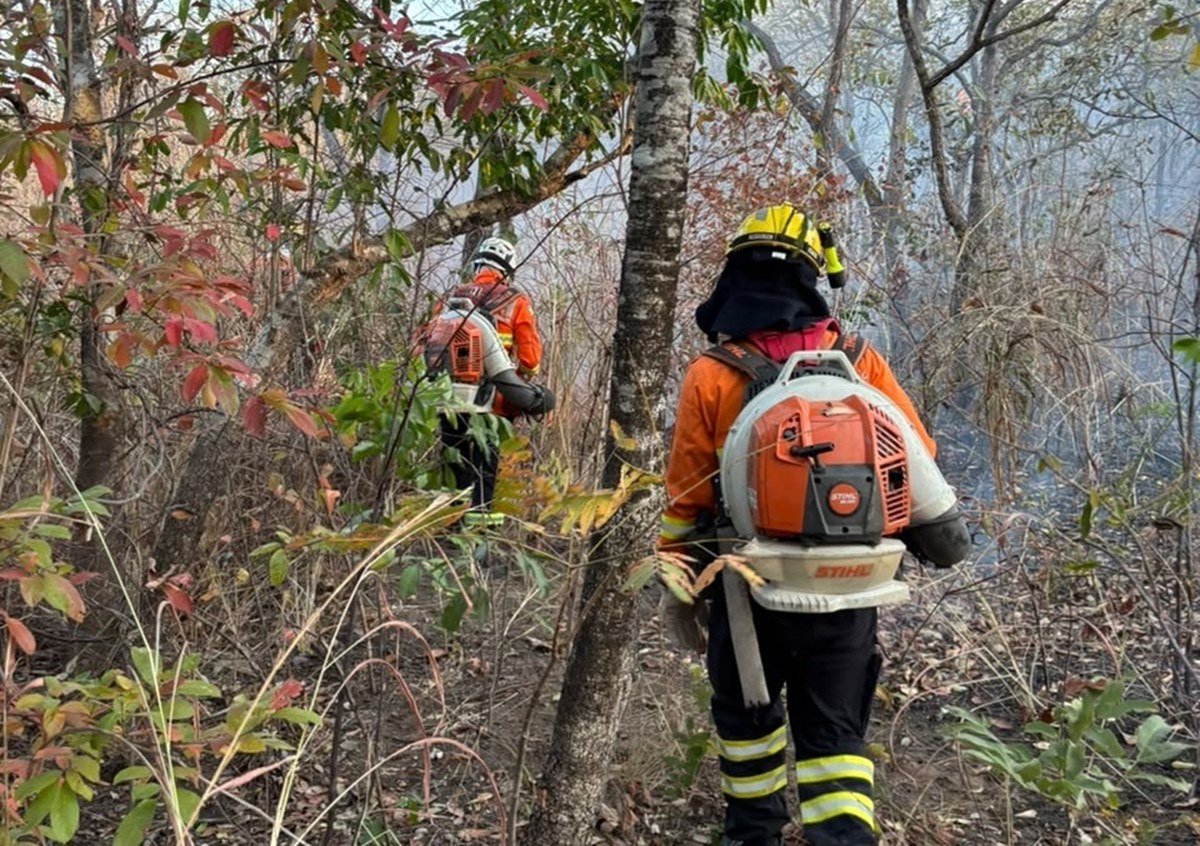 Incêndio devasta mais de 14 mil hectares no Parque da Serra Dourada, em Goiás
