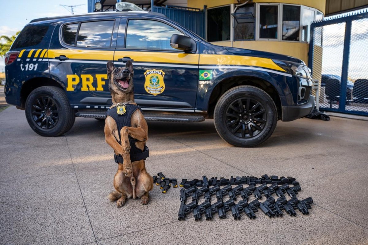 PRF apreende 20 pistolas e 40 carregadores em fiscalização na BR-060