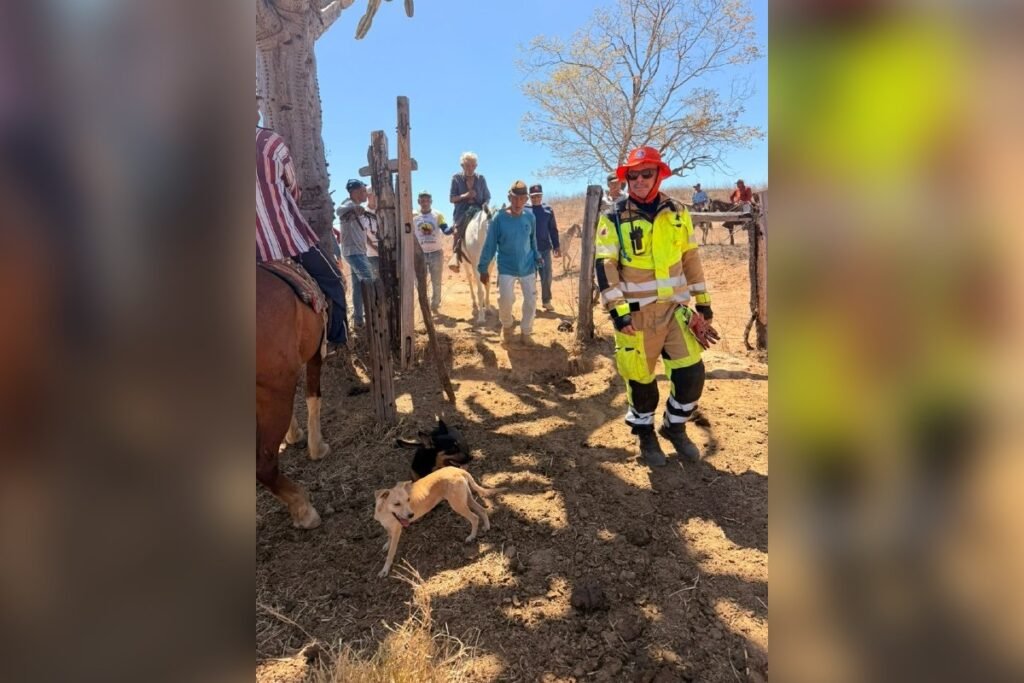 Idoso de 94 anos é resgatado após ser dado como desaparecido em Araçuaí