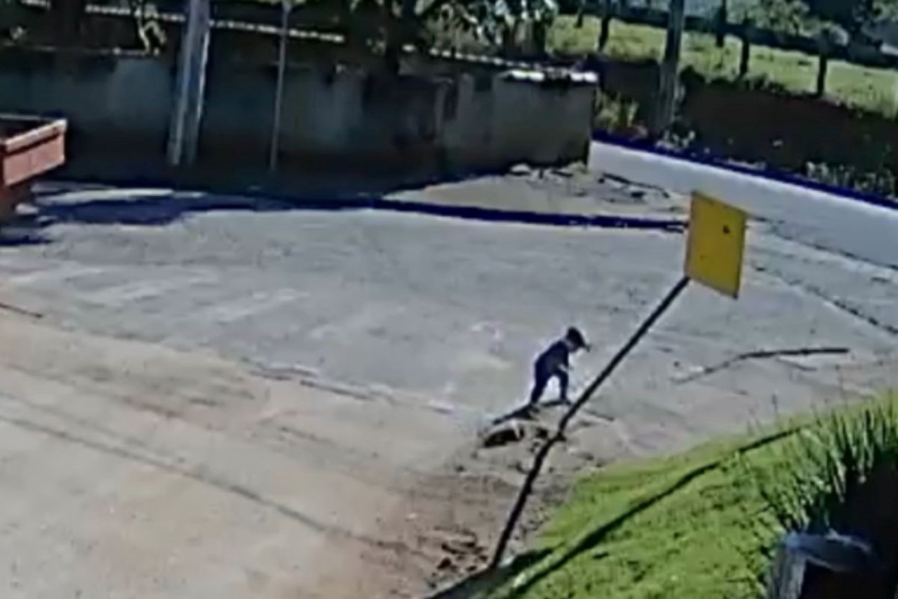 Criança de um ano e meio caminha sozinha até o trabalho da mãe em Santa Catarina