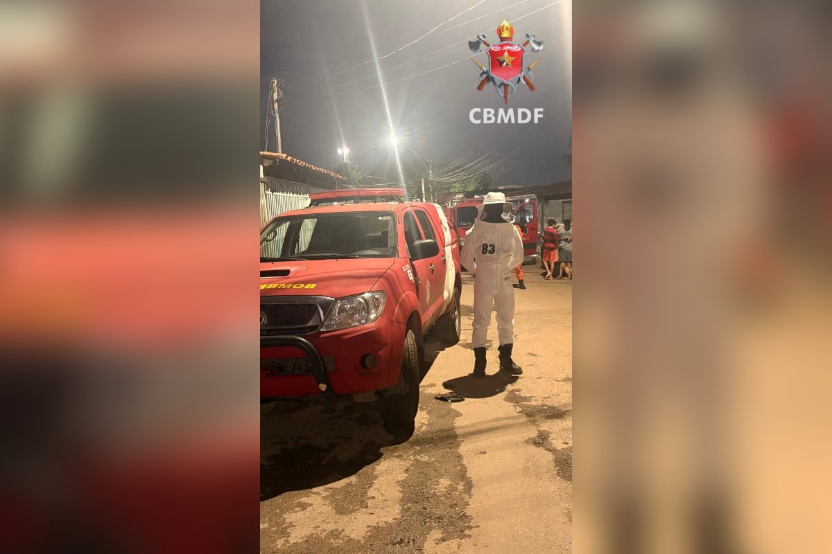 Bombeiros atuam em captura de enxame de abelhas em residência de Taguatinga
