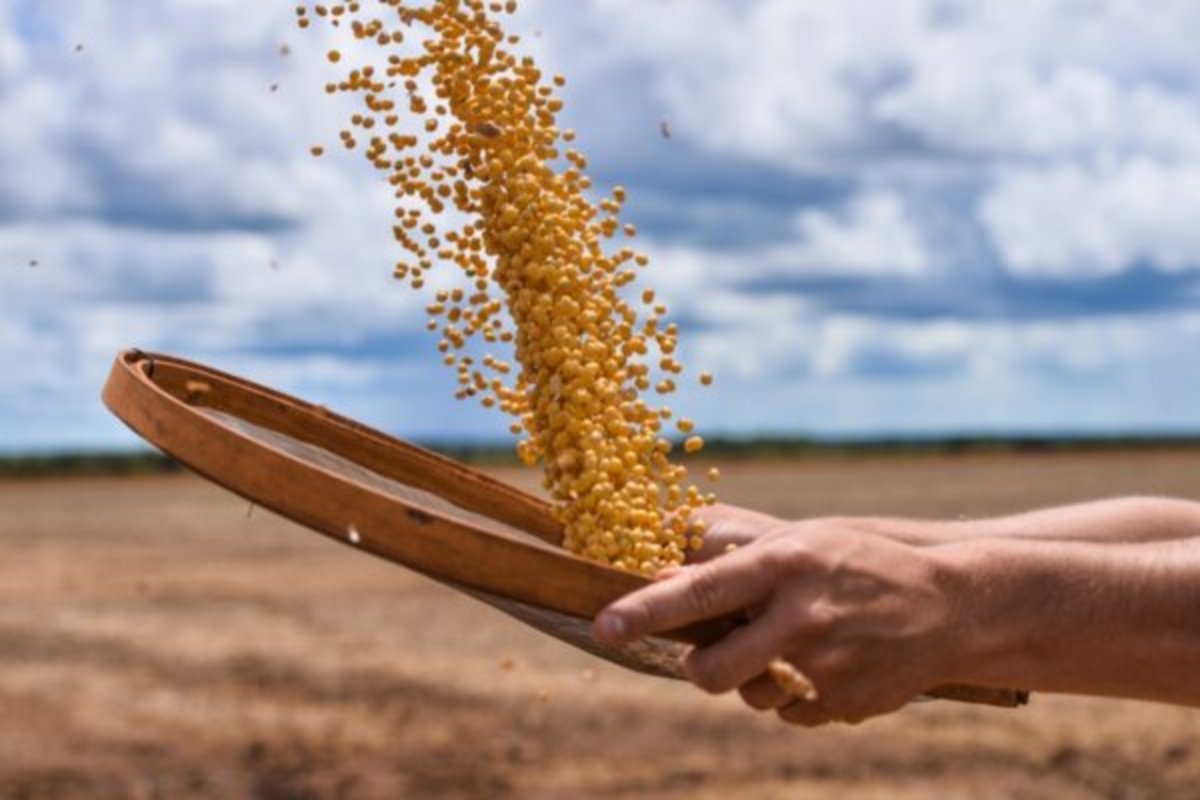 Brasil alcança 700 mercados abertos para produtos agropecuários em 2023